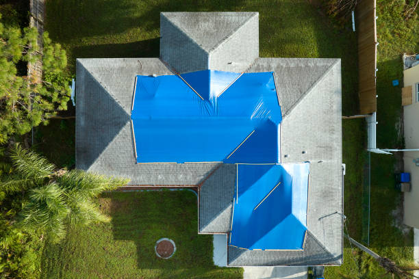 Best Roof Ventilation Installation  in Rehoboth Beach, DE
