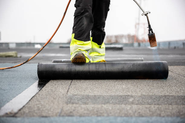 Best Rubber Roofing (EPDM, TPO)  in Rehoboth Beach, DE