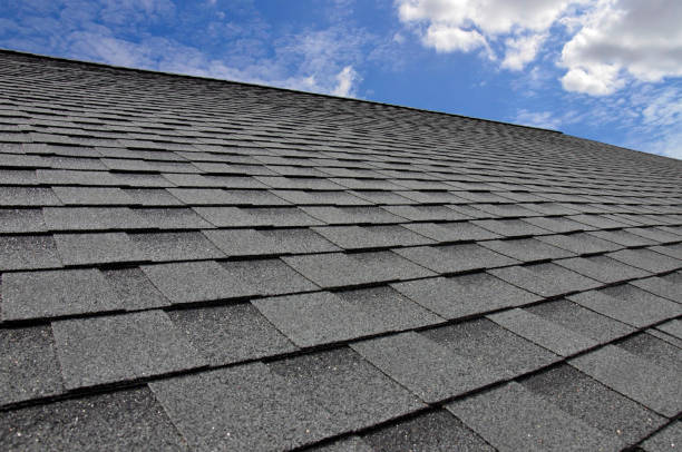 Best Solar Panel Roofing Installation  in Rehoboth Beach, DE